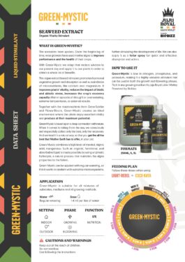 BIOBIZZ GREEN MYSTIC